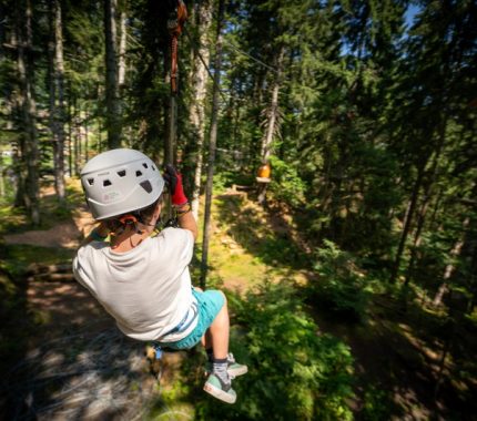 Zipline parki